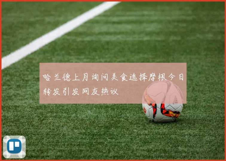 哈兰德上月询问美食选择摩根今日转发引发网友热议