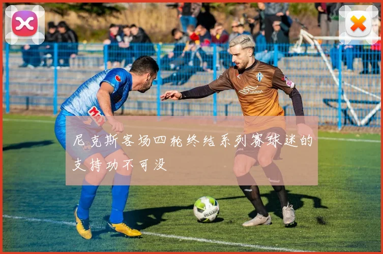 尼克斯客场四轮终结系列赛球迷的支持功不可没