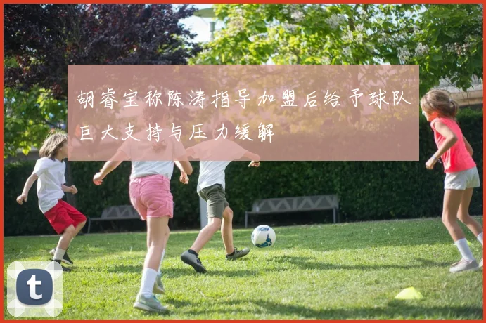 胡睿宝称陈涛指导加盟后给予球队巨大支持与压力缓解